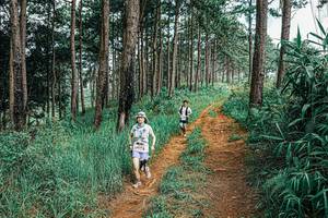 BIB: 
                            <button type="button" onclick="openModal(25691114)" class="btn btn-primary btn-sm float-right btn-popup" data-toggle="modal" data-target=".modal-high-quality">
                        <i class="fas fa-shopping-cart"></i> Add to Cart
                    </button>
                                            <button type="button" onclick="isThisMe(25691114, true)" class="btn btn-success btn-sm float-right btn-popup btn-isme hidden" data-toggle="tooltip" data-placement="bottom" title="นี่คือรูปของคุณใช่ไหม คลิกที่นี่เพื่อเอาเข้าอัลบั้ม">
                        <i class="fas fa-plus"></i> Add to album
                    </button>
                    <button type="button" onclick="isThisMe(25691114, false)" class="btn btn-warning btn-sm float-right btn-popup btn-isnotme hidden">
                        <i class="fas fa-ban"></i> Remove from album
                    </button>